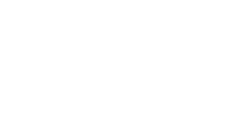 Nic-chile-dominio